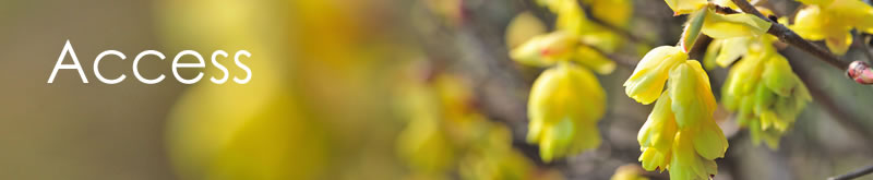 アクセス